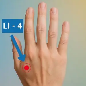 הנקודה LI4 - נקודה שיכולה לסייע בכאבי מחזור / דיסמנוריאה